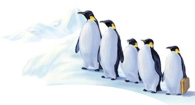 iceberg